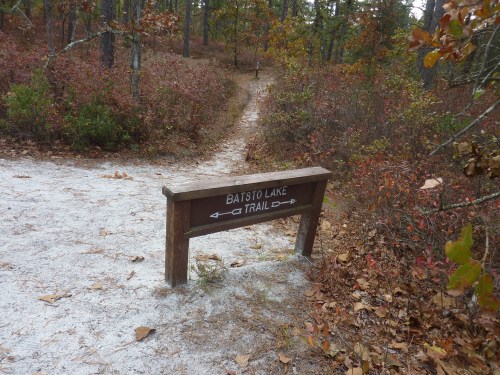 A wooden sign for Batsto Lake Trail in a forested area with autumn foliage and a sandy path.