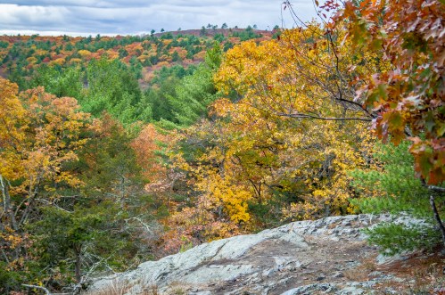 A scenic view of vibrant autumn foliage with colorful trees and rocky terrain under a cloudy sky.