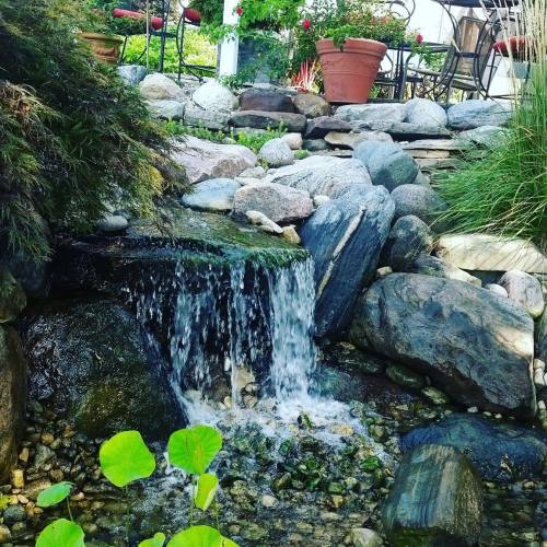 A serene waterfall cascades over rocks, surrounded by greenery and potted plants in a tranquil garden setting.