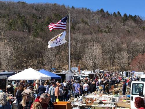A bustling outdoor market with a large crowd, food trucks, and flags waving against a backdrop of trees.