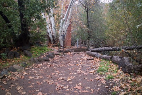 A dirt path surrounded by trees and fallen leaves, leading to a stone structure in a serene, wooded area.