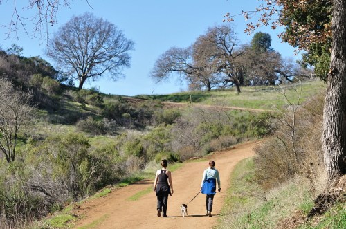 Two women walk a small dog along a dirt path in a green, hilly landscape under a clear blue sky.