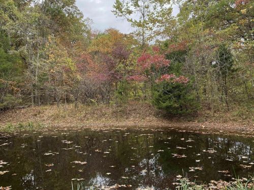 A tranquil pond surrounded by trees displaying autumn foliage in shades of red, orange, and green.