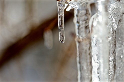 Close-up of icicles with a single droplet of water forming at the tip, glistening in the sunlight.