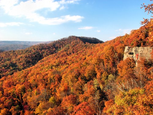 Vibrant autumn landscape with rolling hills covered in orange and yellow foliage under a blue sky.