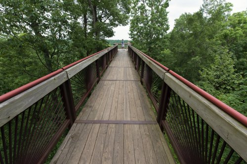 A wooden bridge surrounded by trees, leading to a viewpoint in a lush green landscape.