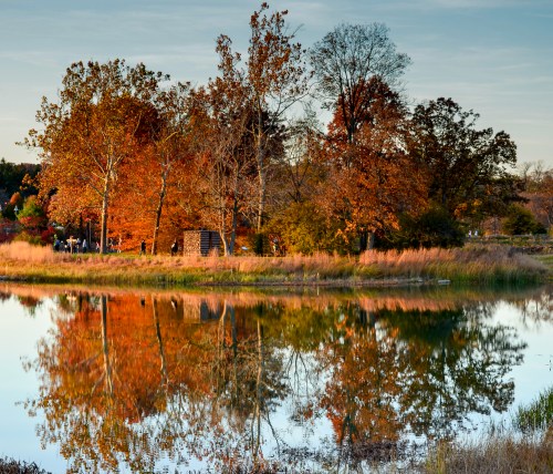 Autumn trees with vibrant foliage reflect in a calm lake, creating a serene landscape scene.