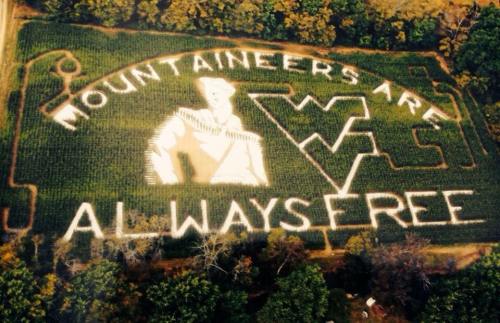 Aerial view of a corn maze featuring the text "Mountaineers Are Always Free" and a mountain-themed design.