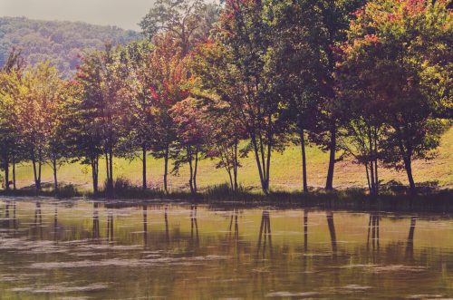 A serene lakeside scene with colorful trees reflecting in the calm water under a clear sky.