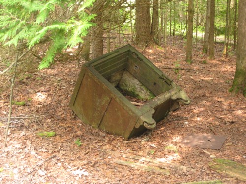 An old, rusted metal box lies on its side in a forest, surrounded by trees and fallen leaves.