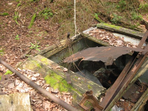 An old, rusted metal structure partially covered with leaves and moss, surrounded by forest undergrowth.