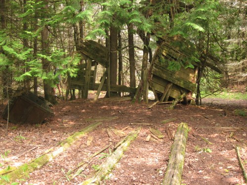 Abandoned wooden structures leaning among dense green trees in a forested area.