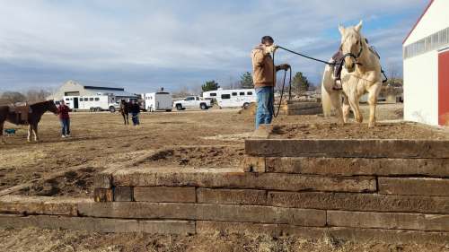 A person leads a light-colored horse on a farm, with other horses and people in the background near a barn.