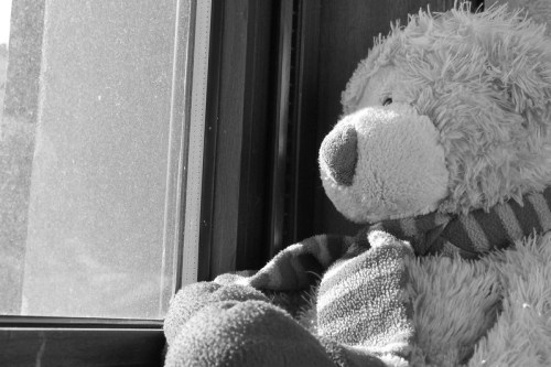 A teddy bear sitting by a window, gazing outside, wrapped in a cozy scarf. The image is in black and white.