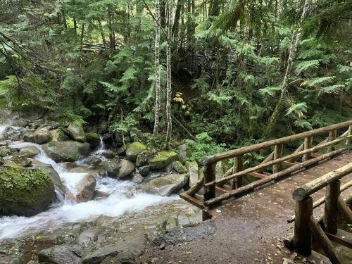 A wooden bridge over a rushing stream, surrounded by lush green trees and moss-covered rocks in a forest setting.