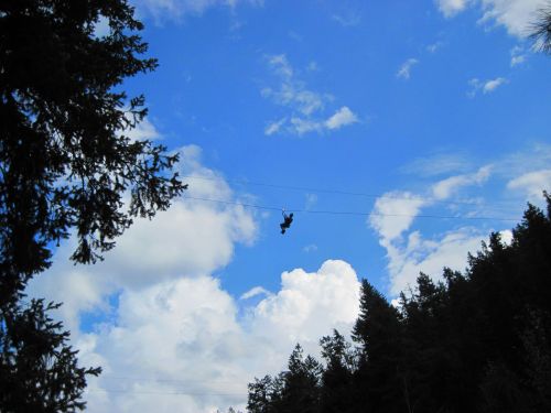 A person zip-lining against a backdrop of blue sky and fluffy clouds, surrounded by tall trees.