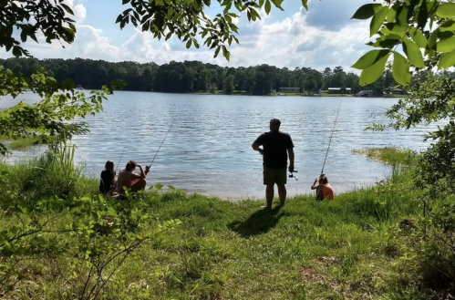 A man and two people fish by a lake, surrounded by greenery and under a bright sky.