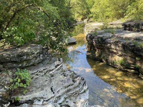 A serene natural landscape featuring a shallow stream surrounded by rocky banks and lush green foliage.