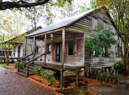 A weathered wooden house with a porch, surrounded by trees and fallen leaves, in a quiet, rustic setting.