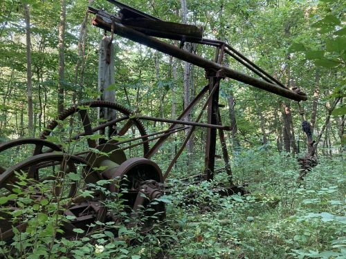 An old, rusted piece of machinery overgrown with greenery in a dense forest.