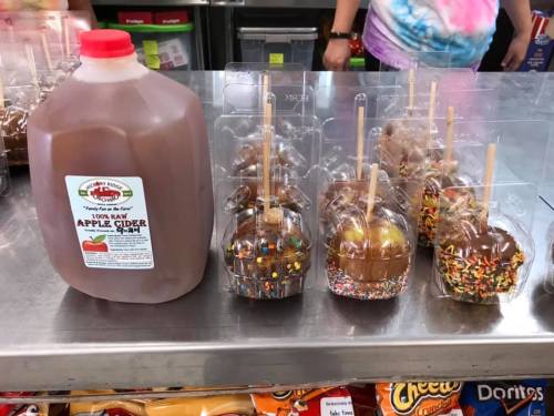 A jug of apple cider next to several caramel apples, some decorated with sprinkles and nuts, on a counter.