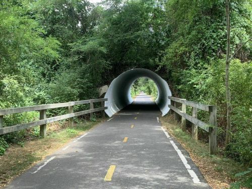 A bike path leads through a large, circular tunnel surrounded by lush greenery and wooden railings.
