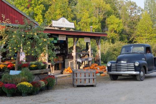 A rustic orchard stand with pumpkins and flowers, alongside an old truck parked on a gravel path.