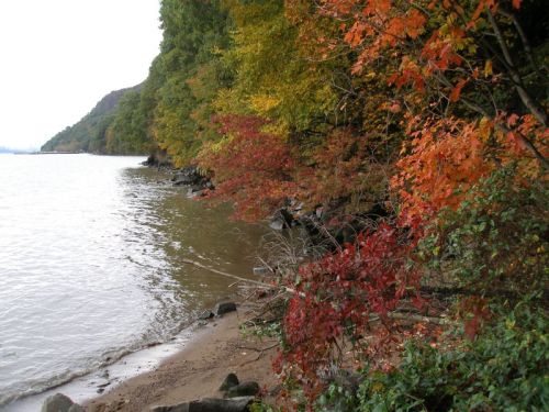 A serene shoreline with colorful autumn foliage reflecting on the water's edge.