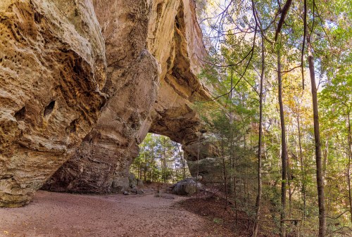 A large rock arch surrounded by trees and a sandy ground, showcasing natural beauty in a forested area.