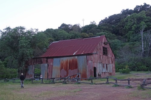 A weathered red barn surrounded by trees, with a person walking nearby in a grassy area at dusk.