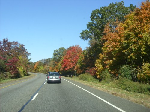 A car drives along a winding road surrounded by vibrant autumn foliage in shades of red and orange.