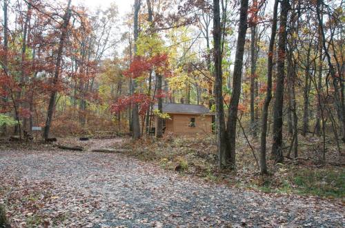 A small wooden cabin surrounded by colorful autumn trees and a gravel path covered in fallen leaves.
