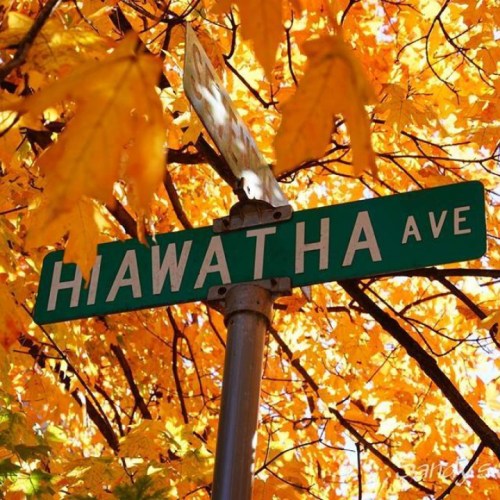 Street sign for Hiawatha Ave surrounded by vibrant autumn leaves.
