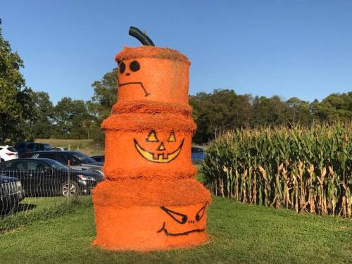 Three stacked hay bales painted like pumpkins, with faces, surrounded by corn and parked cars in the background.