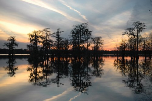 Silhouetted trees reflect in calm water at sunset, with colorful clouds in the sky creating a serene landscape.