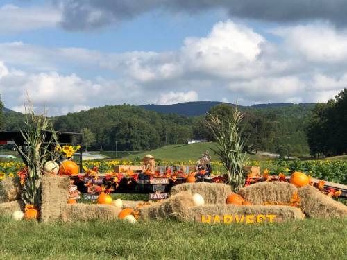A vibrant fall scene with hay bales, pumpkins, and flowers, set against a backdrop of rolling hills and blue skies.