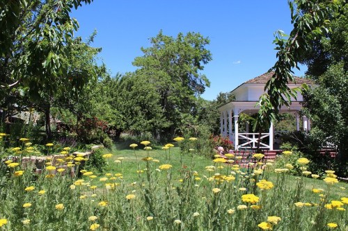 A sunny garden with yellow flowers in the foreground and a white gazebo surrounded by trees in the background.