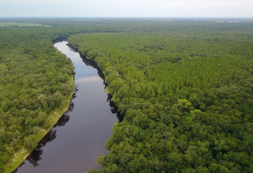 Aerial view of a winding river surrounded by dense green forest and trees under a clear sky.