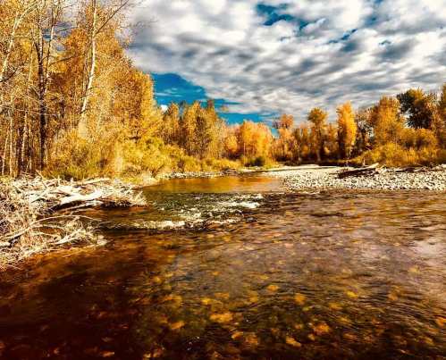 A serene river flows through a landscape of autumn trees and cloudy skies, reflecting vibrant fall colors.