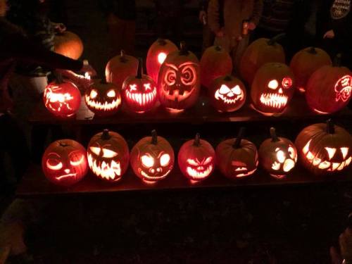 A display of creatively carved pumpkins with glowing faces, showcasing various spooky and playful designs.