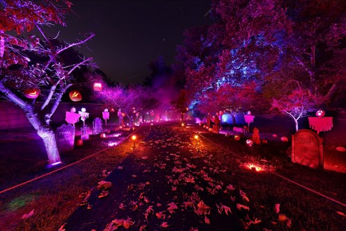 A spooky Halloween scene with glowing pumpkins, fog, and illuminated gravestones along a dark, leaf-covered path.