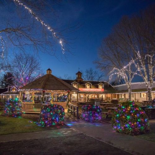 A festive outdoor scene featuring a gazebo and trees adorned with colorful holiday lights at dusk.