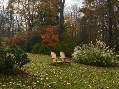 Two wooden chairs sit in a serene garden, surrounded by autumn foliage and tall grass, with fallen leaves on the ground.