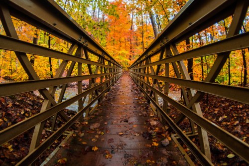 A metal bridge surrounded by vibrant autumn foliage and fallen leaves, leading into a colorful forest.