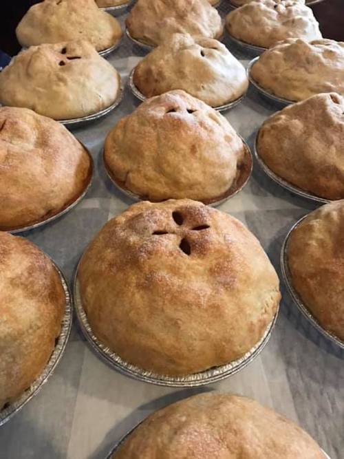 A row of freshly baked pies with golden crusts, each featuring a small vent pattern on top.