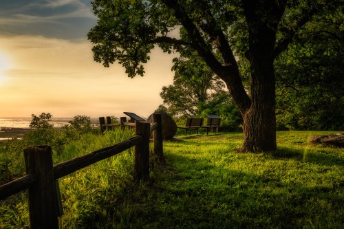 A serene park scene with benches under a large tree, overlooking a sunset-lit landscape. Green grass and a wooden fence are visible.