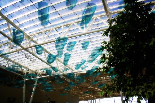 Abstract blue shapes hang from a bright, airy ceiling, with greenery visible on the right side of the image.