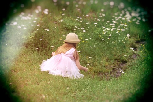 A young girl in a pink dress and straw hat sits in a field of wildflowers, exploring the grassy ground.