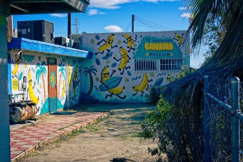 Colorful mural of bananas on the wall of the International Banana Museum, with a sunny outdoor area and blue sky.