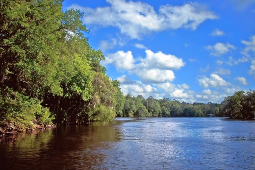 A serene river scene surrounded by lush greenery and a bright blue sky with fluffy clouds.